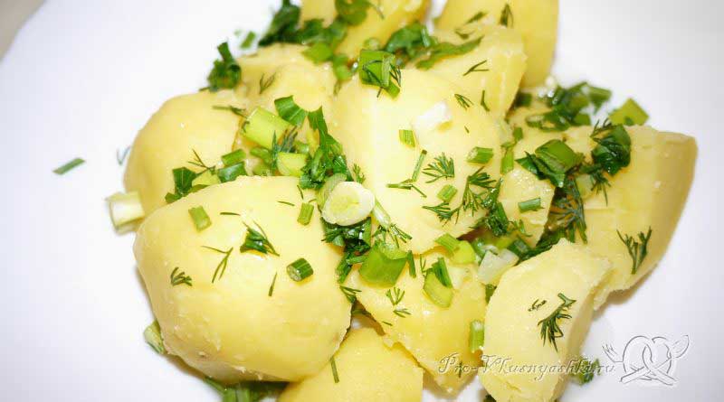 Картофель отварной с зеленью, 200 г порция общепит