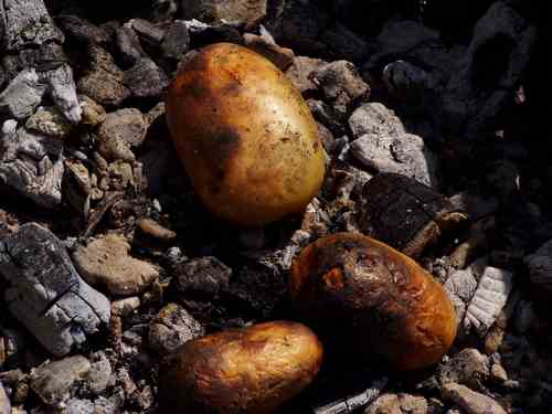 Овощи, картофель на углях